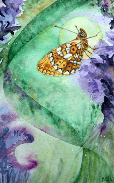 Pearl Bordered Fritillary painting by Helen Frost Rich