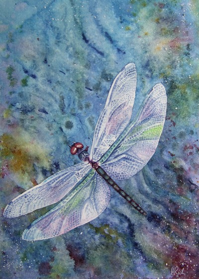 Skimming Dragonfly painting in watercolour by Helen Frost Rich