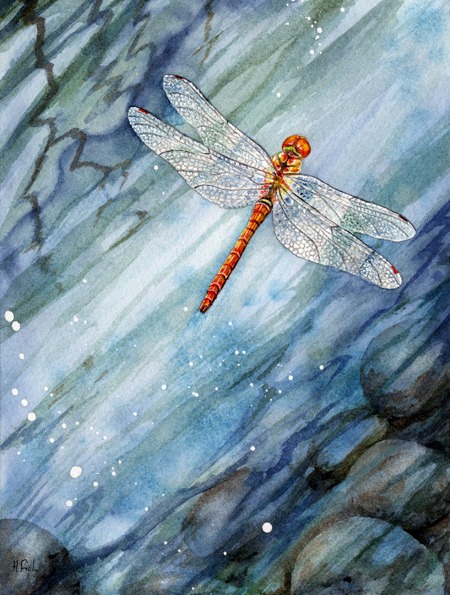 Watercolour by Helen Frost Rich, of a common darter dragonfly skimming across moving water.
